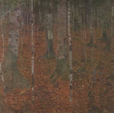 Gustav Klimt Birch Wood (mk20)